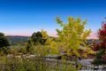 Property photo of 253 Power Road Endeavour Hills VIC 3802