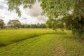 Property photo of 53 Carara Avenue Thagoona QLD 4306