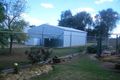 Property photo of 10 Brown Street Boggabilla NSW 2409