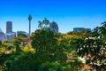 Property photo of 24/10 Pyrmont Bridge Road Camperdown NSW 2050