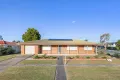 Property photo of 1 Raintree Street Alexandra Hills QLD 4161