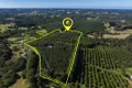 Property photo of 710 Cowlong Road Eltham NSW 2480
