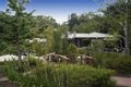 Property photo of 38 Churinga Road Aldgate SA 5154