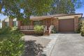 Property photo of 19 Hasluck Drive Watanobbi NSW 2259