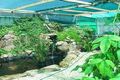 Property photo of 19 Kelvin Street Pingelly WA 6308