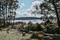 Property photo of 199 Bradys Lake Road Bradys Lake TAS 7140