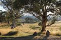 Property photo of 9/11 Wollondibby Road Crackenback NSW 2627