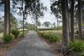 Property photo of 111 Orchard Road Mountain View NSW 2460