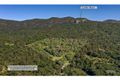 Property photo of 6 Polka Road Byfield QLD 4703