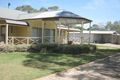 Property photo of 66 Packer Avenue Mundulla SA 5270