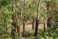 Property photo of 42 Osborne Road North Warrandyte VIC 3113