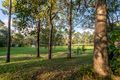Property photo of 849 Skyring Creek Road Carters Ridge QLD 4563