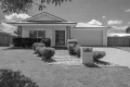 Property photo of 4 Boambillee Circuit Cooloola Cove QLD 4580