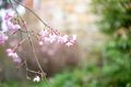 Property photo of 3 Five Acre Row Westbury TAS 7303
