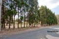 Property photo of 60-66 Rossmore Road Logan Reserve QLD 4133