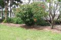 Property photo of 35 Avocado Crescent Bli Bli QLD 4560