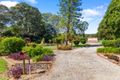 Property photo of 52 Alfs Pinch Road Beerwah QLD 4519