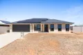 Property photo of 85 Devlin Street Coolamon NSW 2701