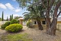 Property photo of 20 Rupert Avenue Bedford Park SA 5042