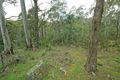 Property photo of 36 Mill Road Collinsvale TAS 7012