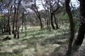 Property photo of 58 Wombat Avenue Heathcote Junction VIC 3758