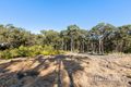 Property photo of 34 Apple Gum Way Murrays Beach NSW 2281