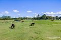 Property photo of 240 Rutters Road Elimbah QLD 4516