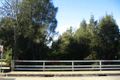 Property photo of Cornelia Road Toongabbie NSW 2146