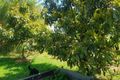 Property photo of LOT 5 River Street Donnybrook WA 6239