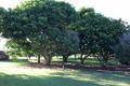 Property photo of 573 Halifax Road Foresthome QLD 4850