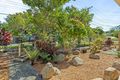 Property photo of 44 Romanella Street Fig Tree Pocket QLD 4069