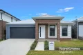 Property photo of 12 Woolly Street Cobbitty NSW 2570