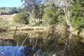 Property photo of 5671 Tweed Valley Way Crabbes Creek NSW 2483