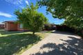 Property photo of 89 Numurkah Road Shepparton VIC 3630