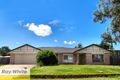 Property photo of 41 Breton Street Sunnybank QLD 4109