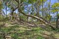 Property photo of 138 Highland Terrace St Lucia QLD 4067