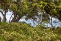 Property photo of 4/2811 Point Nepean Road Blairgowrie VIC 3942