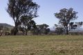 Property photo of 64 Sutherland Drive Georges Plains NSW 2795