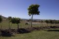 Property photo of 64 Sutherland Drive Georges Plains NSW 2795