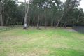 Property photo of 11 Log Bridge Place Hazelbrook NSW 2779