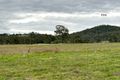 Property photo of 472 Wingham Road Taree NSW 2430