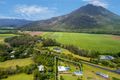 Property photo of 66 Dempsey Street Gordonvale QLD 4865
