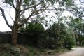 Property photo of 147 New Line Road Cherrybrook NSW 2126