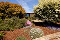 Property photo of 6 Healy Street Spence ACT 2615