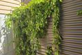 Property photo of 229 Armstrong Street South Ballarat Central VIC 3350