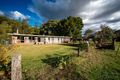 Property photo of 295 Black Duck Creek Road Junction View QLD 4343