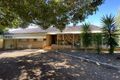 Property photo of 17 Thomson Place Gunnedah NSW 2380