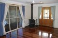 Property photo of 49 Avondale Drive Banora Point NSW 2486