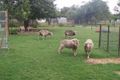 Property photo of 53 Simpson Street Boggabilla NSW 2409