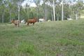 Property photo of 285 Plath Road Upper Barron QLD 4883